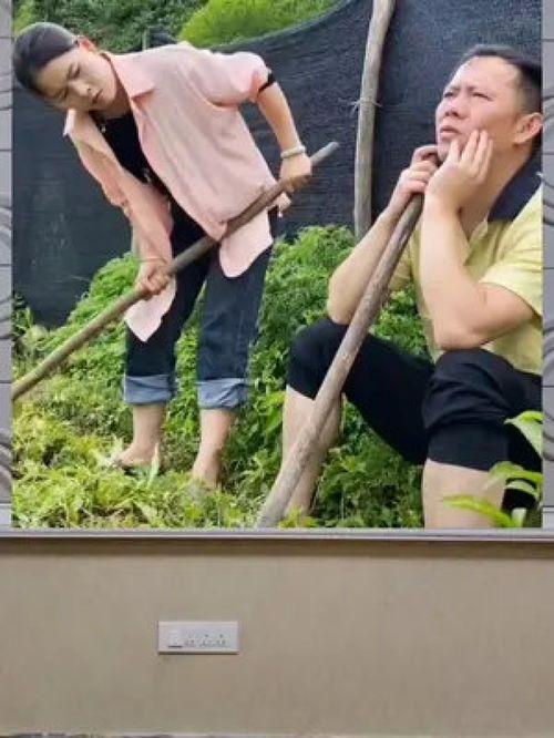 吃瓜群众娱乐八卦