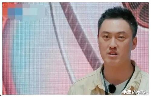 娱乐圈吃瓜料的博主是谁,揭秘幕后真相，带你走进娱乐圈幕后风云